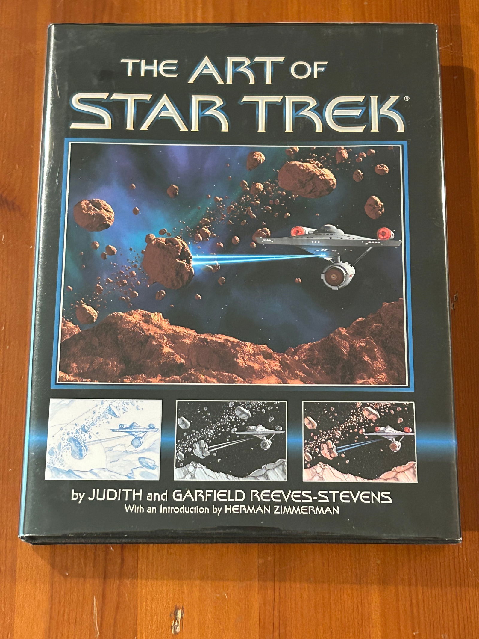The Art Of Star Trek by Judith And Garfield Reeves-Stevens First Edition (1 of 12)