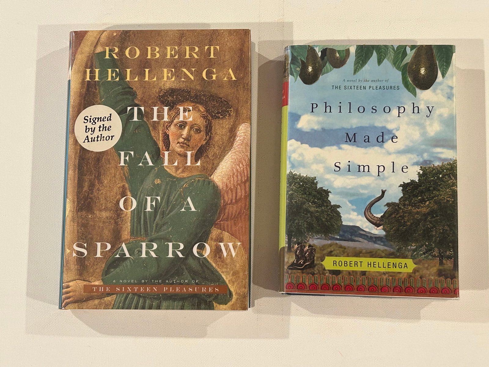 The Fall Of A Sparrow & Philosophy Mad Simple by Robert Hellenga SIGNED First Editions (1 of 6)