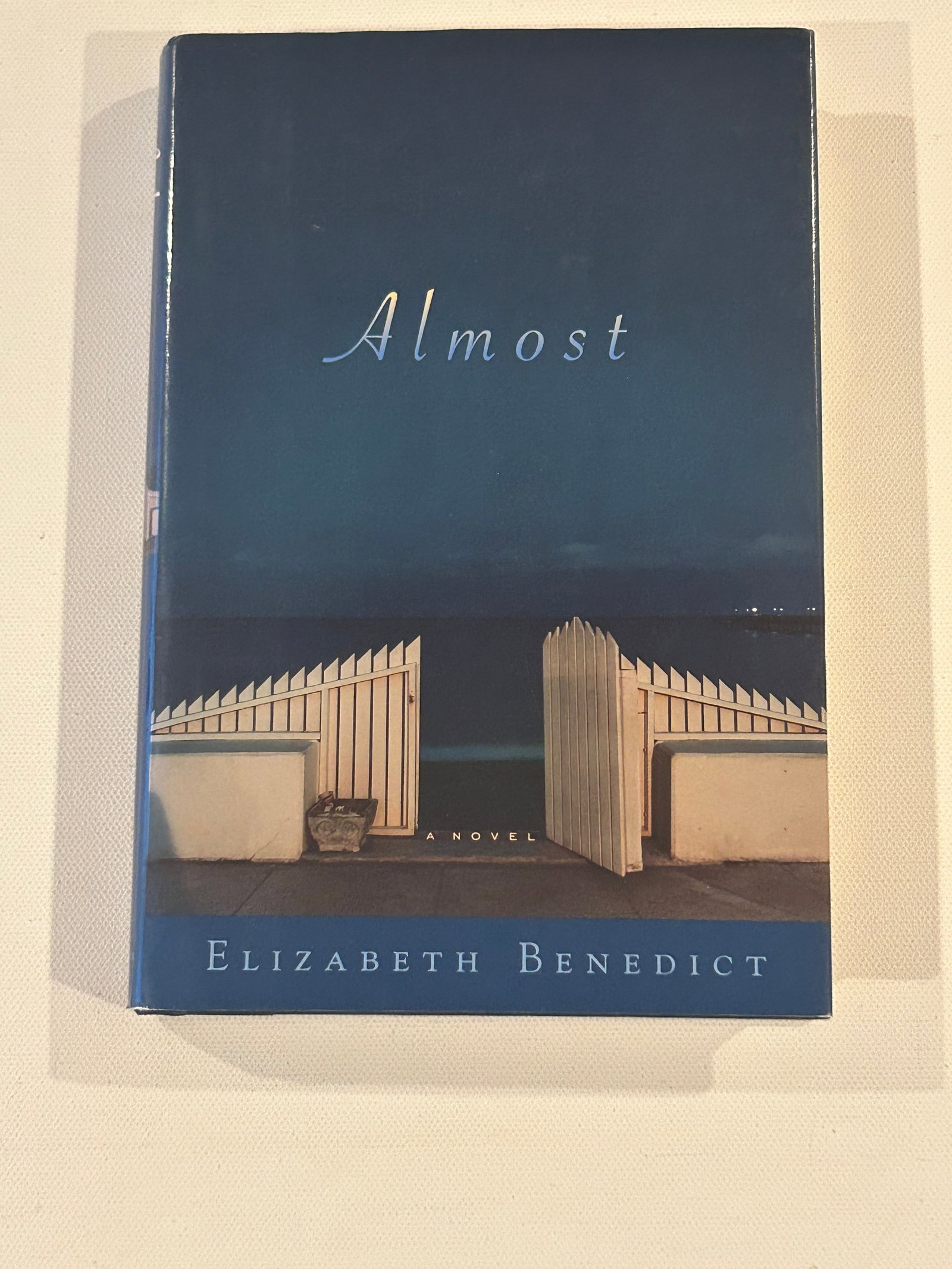 Almost by Elizabeth Benedict SIGNED First Edition (1 of 4)