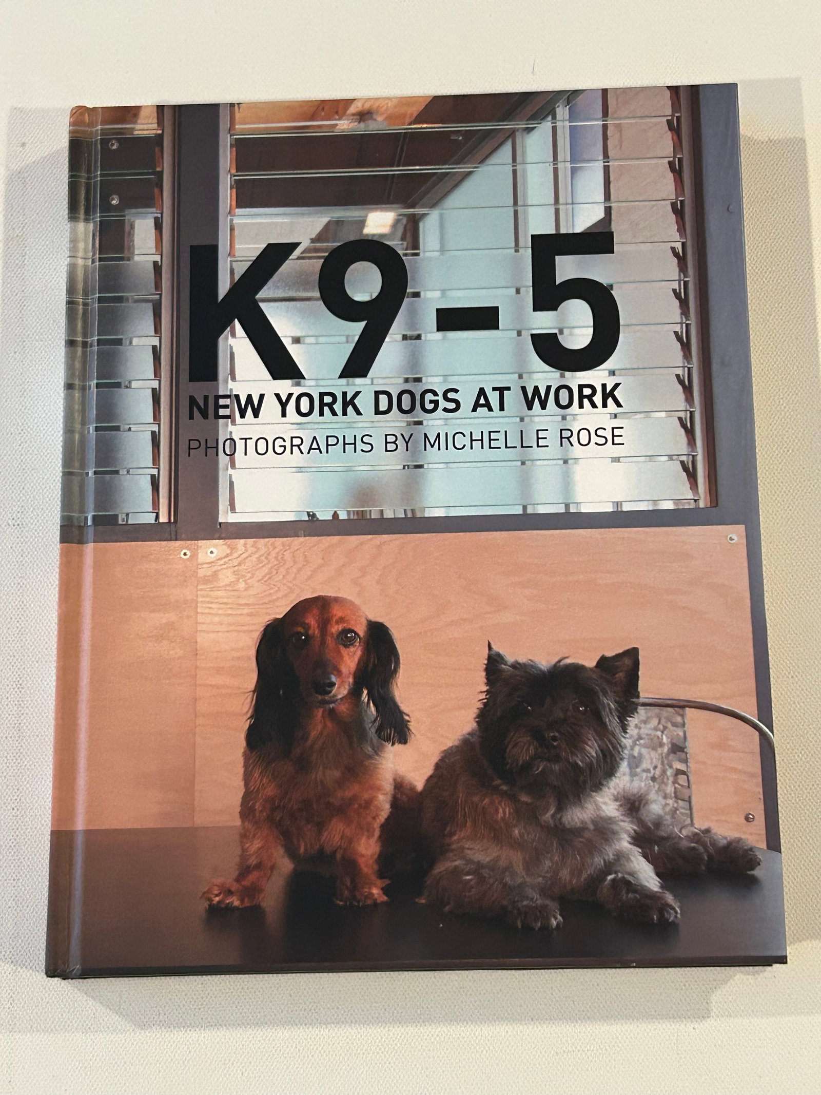 K9-5 New York Dogs At Work Photographs by Michelle Rose SIGNED & Inscribed First Edition (1 of 8)
