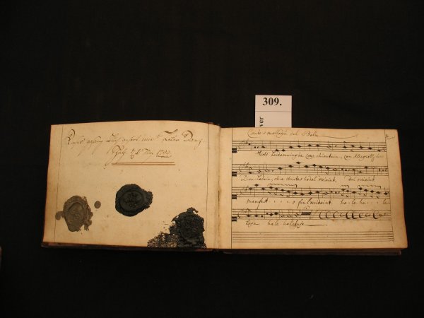 309 Manuscrit Marschlins Suisse Livre d'or Salis Planta - 2