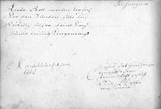 309 Manuscrit Marschlins Suisse Livre d'or Salis Planta - 5