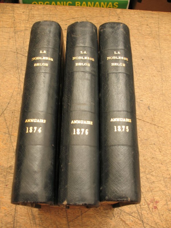 STEIN ALTENSTEIN Annuaire noblesse belge 1847-1946