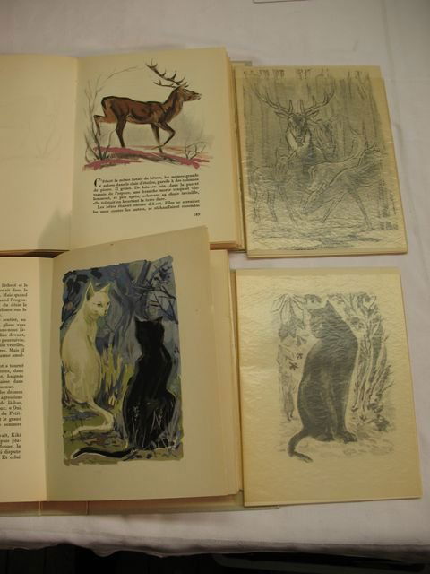 GENEVOIX Maurice Romans CLAIRIN JARACH COLLOT: GENEVOIX, Maurice - [Romans]. Paris, La Belle Édition, s. d. 6 volumes in-8, brochés, non coupés, sous chemises et étuis cartonnés d'édition. Routes de l'aventure. Aquarelles de Pierre-Eugène