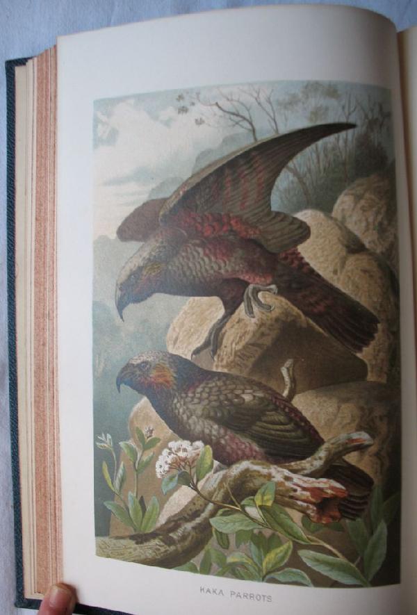 LYDEKKER, Richard - The Royal Natural History. Wit: LYDEKKER, Richard - The Royal Natural History. With preface by P. L. Sclater. Illustrated with seventy-two coloured plates and sixteen hundred engravings by W. Kuhnert, F. Specht, P. J. Smit.. London,