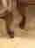 item-130700445=4