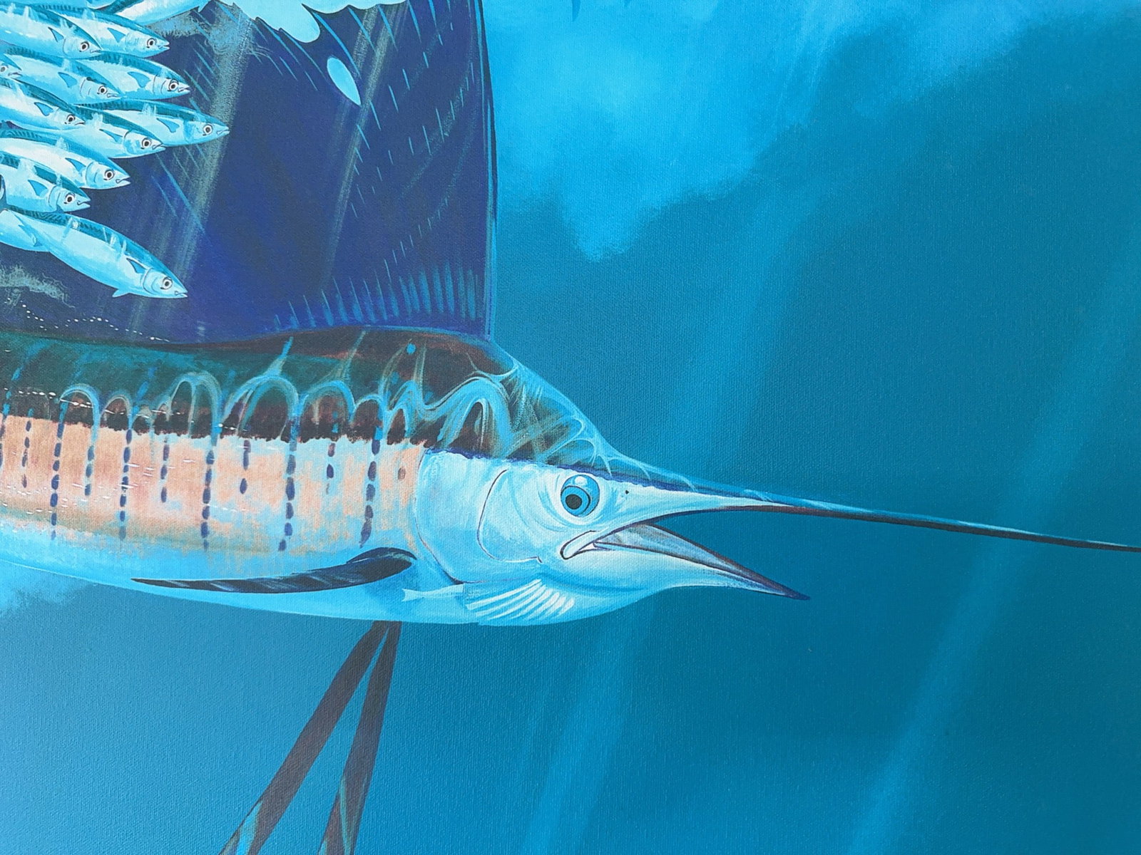 Guy Harvey Signed Limited Edition Sailfish - 10
