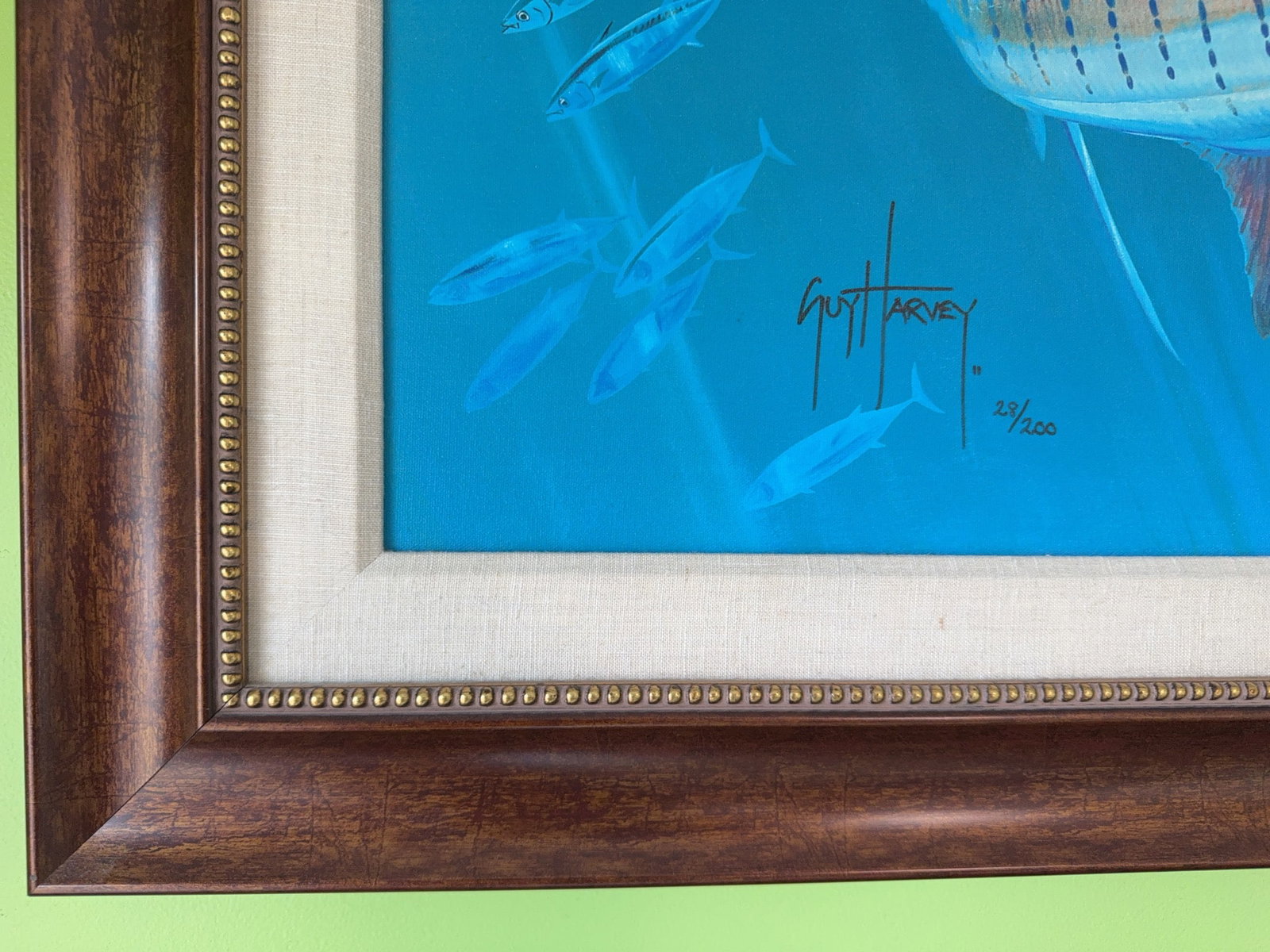 Guy Harvey Signed Limited Edition Sailfish - 20