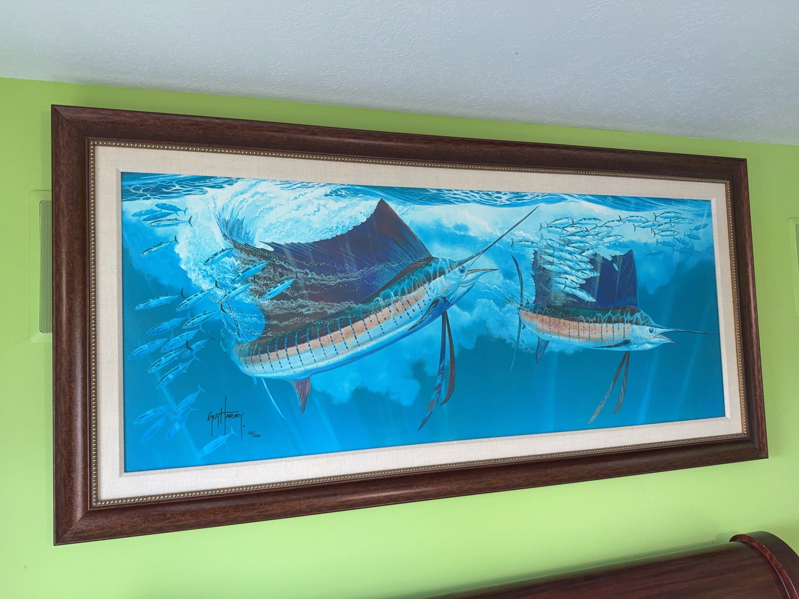 Guy Harvey Signed Limited Edition Sailfish - 4