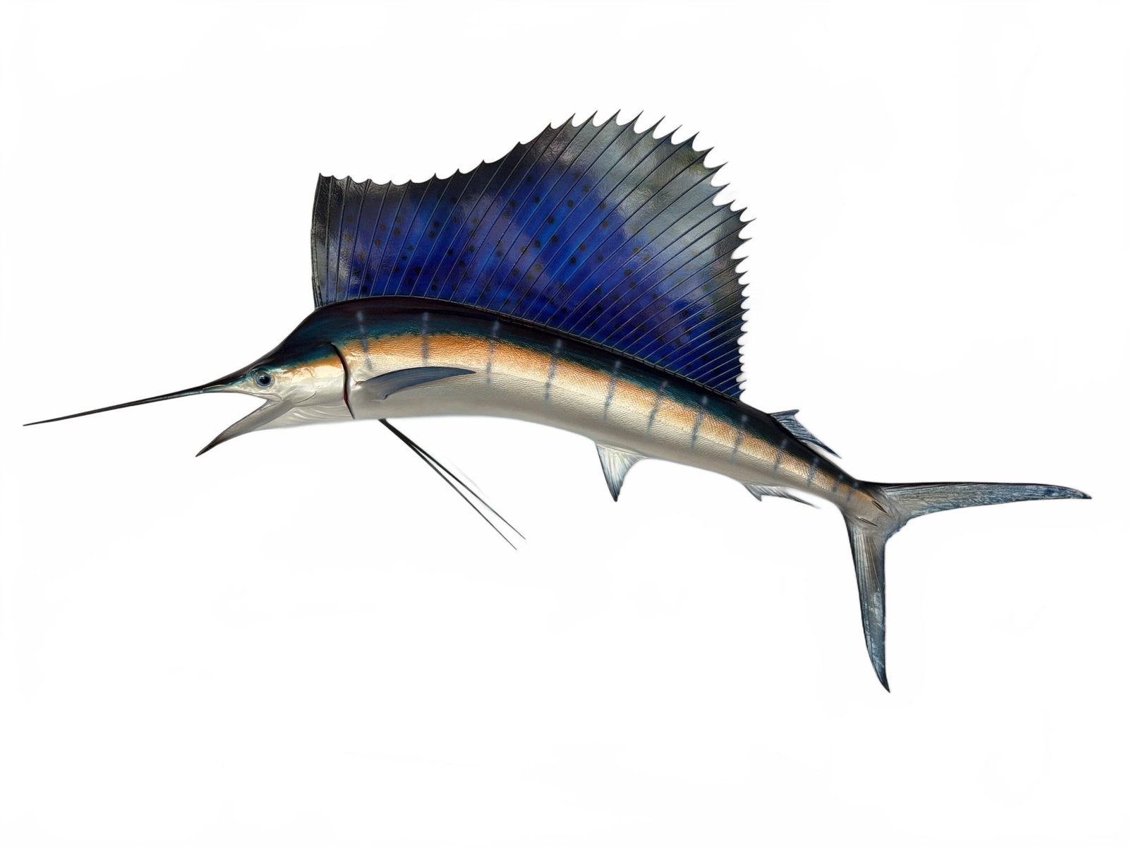 80" Large Sailfish Wall Mount Replica (1 of 5)
