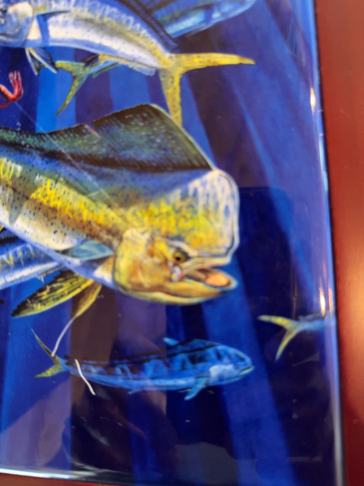 Carey Chen Framed Fish Artwork - 3