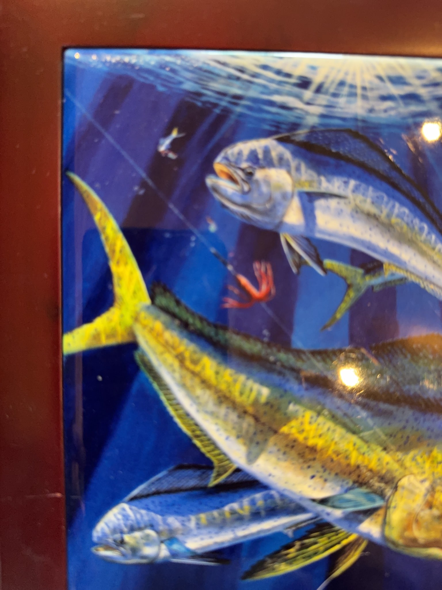 Carey Chen Framed Fish Artwork - 4