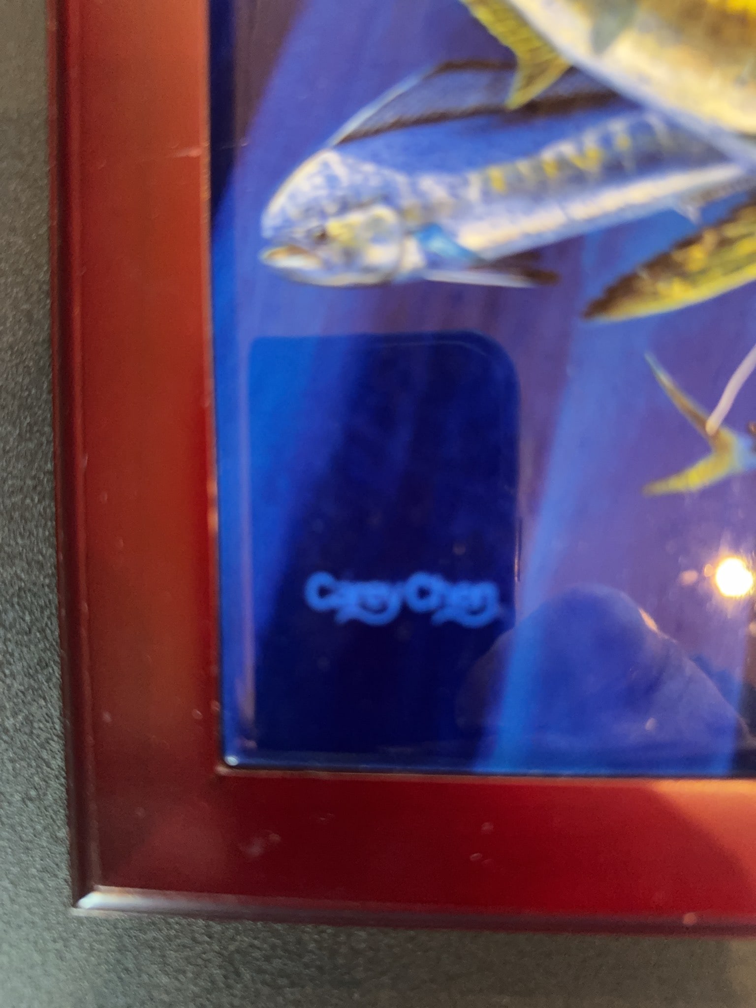 Carey Chen Framed Fish Artwork - 5