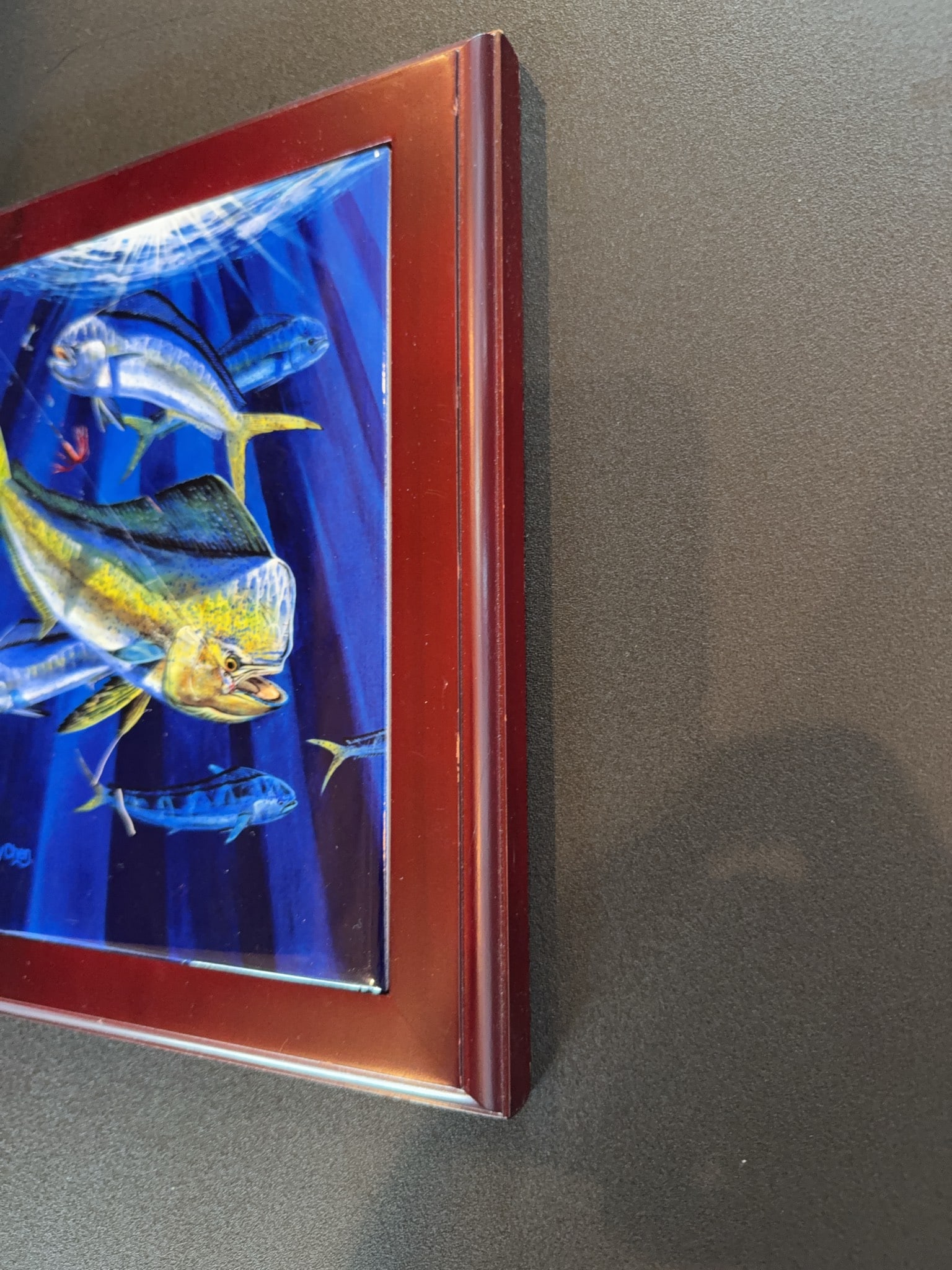 Carey Chen Framed Fish Artwork - 6
