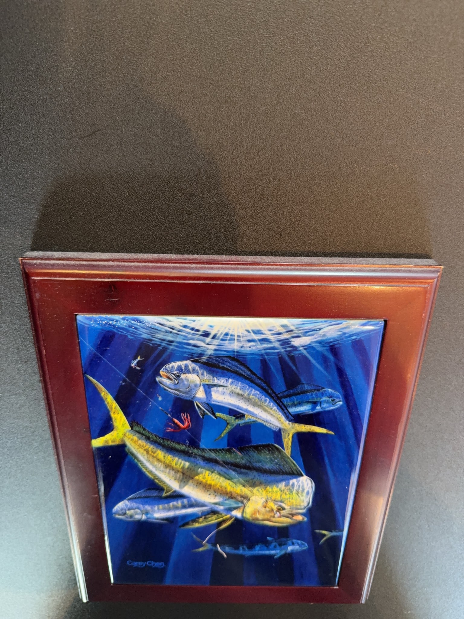 Carey Chen Framed Fish Artwork - 9