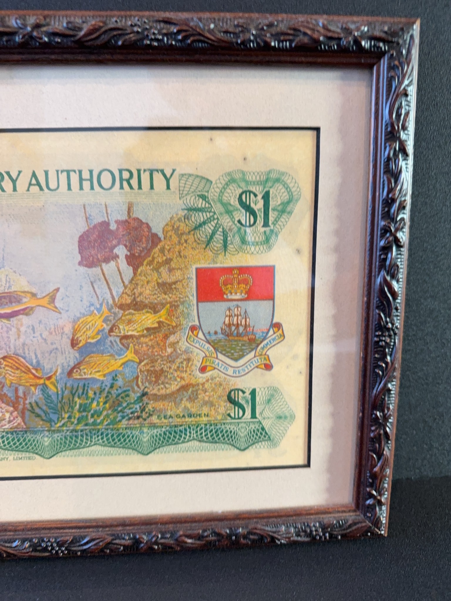 Framed Bahamas Monetary Authority $1 Note - 9