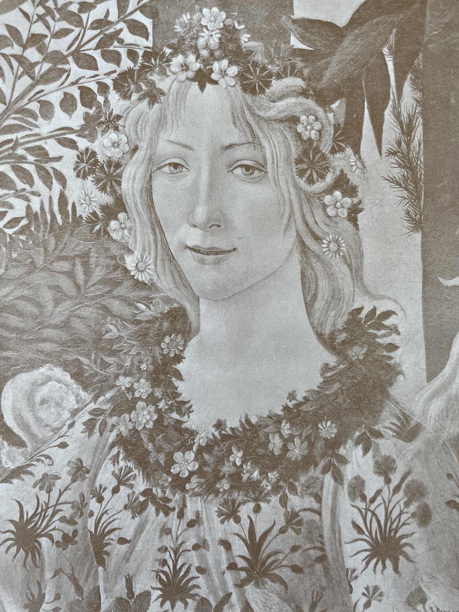 After Boticelli: The School of Italian Renaissance, Fine Print, 19th Century.: Photo Alinari Boticelli. Art Italien, XV-e Siecle, Fine Prints. The Italian Renaissance: 15th century. The schools of Central Italy and Northern Italy. Literature: The Italians of the 15th century ope