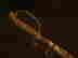 item-134596615=2