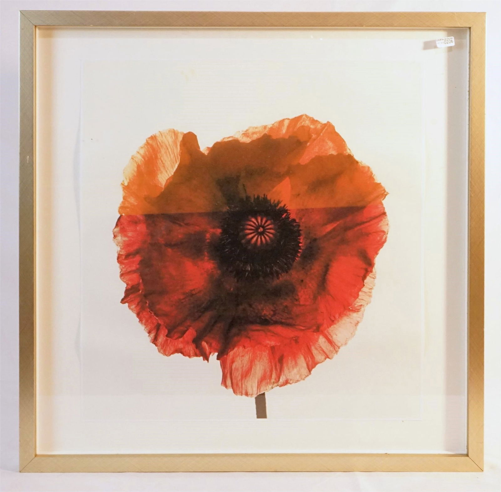 IRVING PENN Pigment print - Poppy: Burgundy, New York (1 of 3)