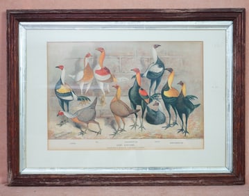 1898 A.F. Lydon Signed Game Bantams  Print,The Feathered World