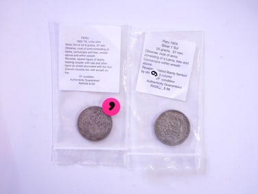Lot of 2 Peru Silver Dollars Coins,19th-20th Century