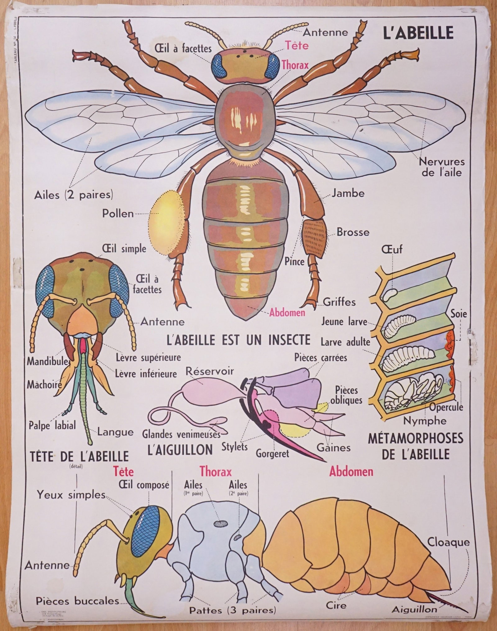 Vintage French Poster,Bee/Fish,1950s: Approximate size: 26.5x36 in Shipping: We offer in-house shipping services for most small items. This means that we will take care of packing and shipping the items directly to you. For larger or spec