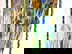 item-209350474=5