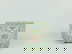 item-209350513=1