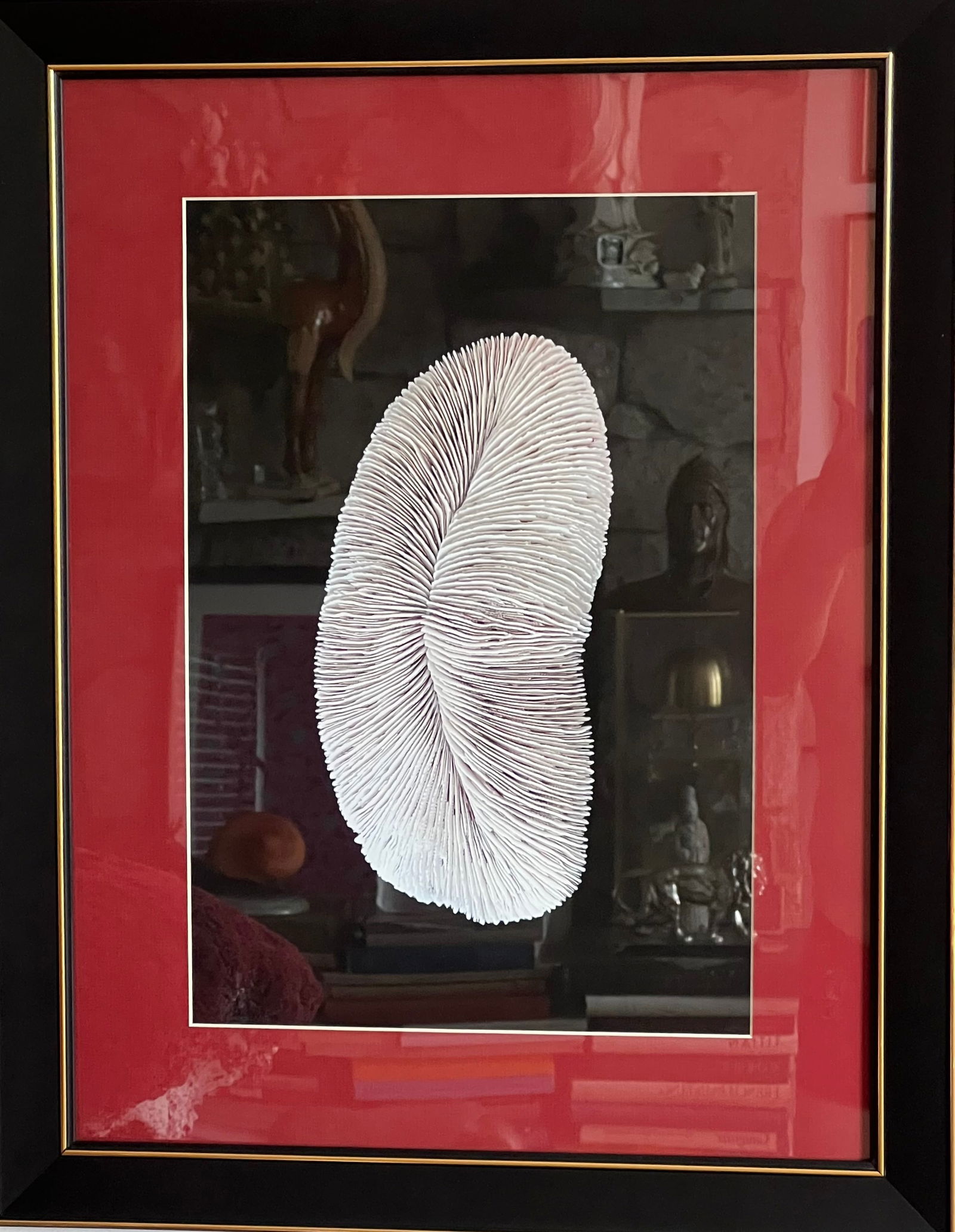 A Rare Coral Photography Work By Yang Hao, Sea'S Sacred Relic (1 of 7)