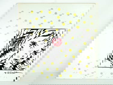 Roy Lichtenstein, Drawing on Vinyl, Pop