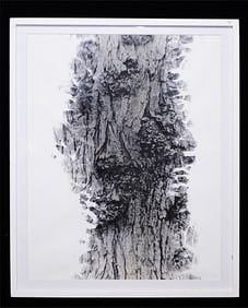 Ansel Adams, Gelatin Silver Photograph
