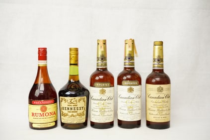 Assorted Wine Bottles Collection