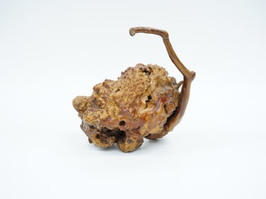 Chinese Natural Rootwood Carving