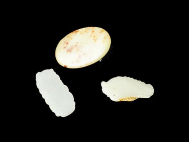 Three Jade Carvings, Qing Dynasty, 18th - 20th Century