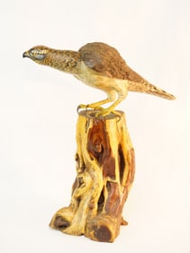 Japanese Wood Carving of An Eagle,Early 20th Century