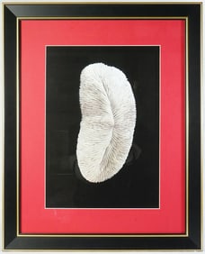 Photography By Yang Hao,'sea's Sacred Relic',Limited Edition Numbered 272/500