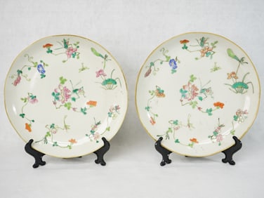 Chinese Famille Rose 'Insect ' Porcelain Plates,19th Century