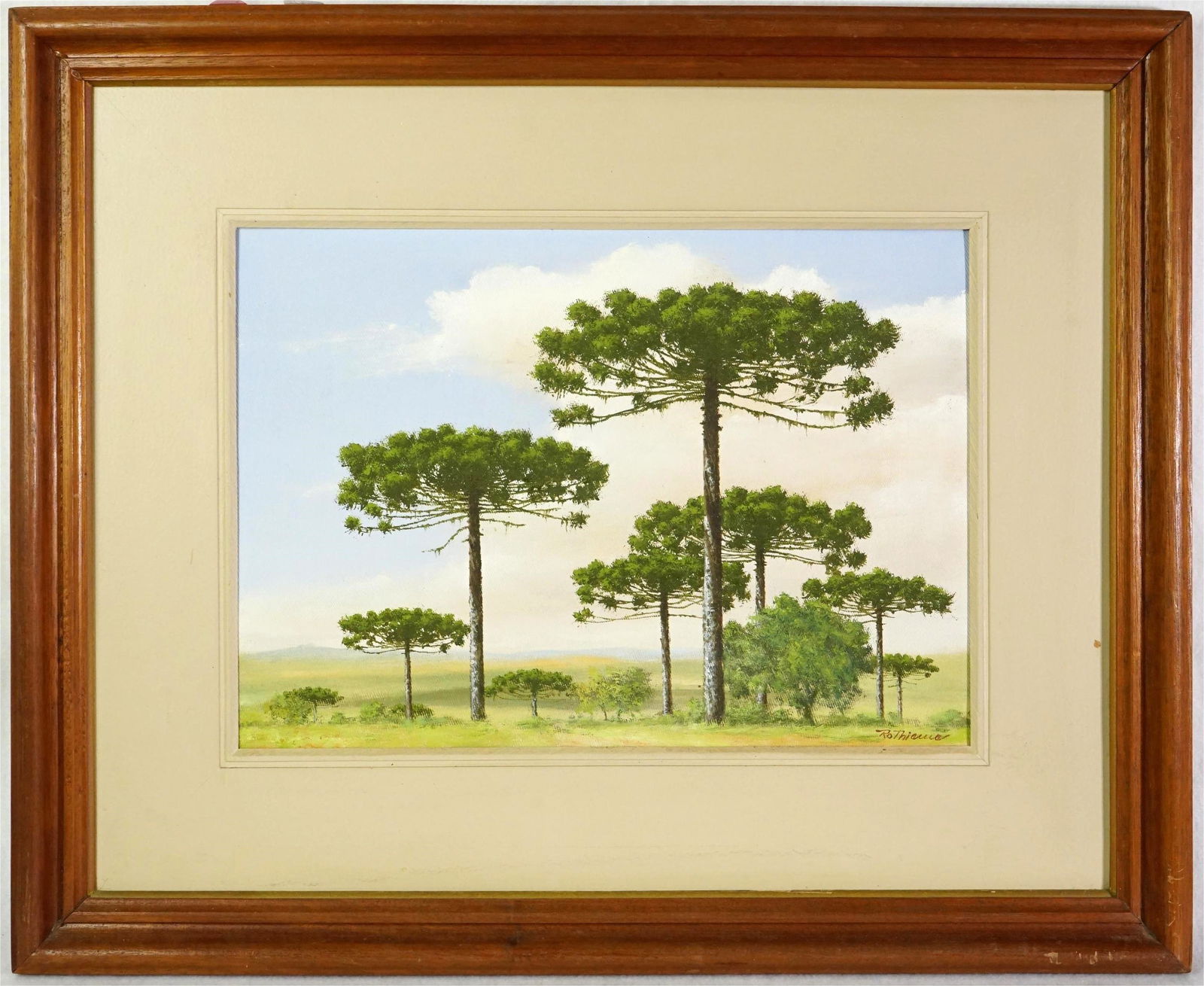 Monkey-Puzzle Tree Painting on Canvas: Approximate size:frame 17.5x22 in/image 9.5x13 in Shipping: We offer in-house shipping services for most small items. This means that we will take care of packing and shipping the items directly to yo