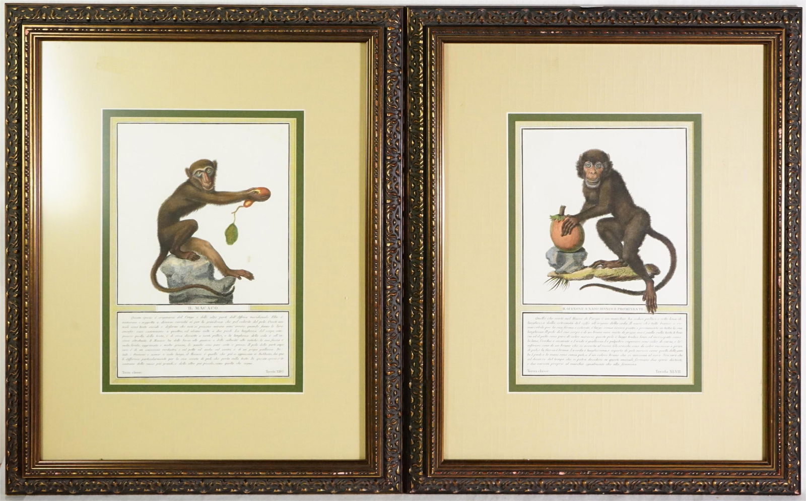 After Henri Jacob's Monkey Engravings Framed Natural History: Approximate size:frame 17x20.5 in/image 11x7.5 in Shipping: We offer in-house shipping services for most small items. This means that we will take care of packing and shipping the items directly to yo