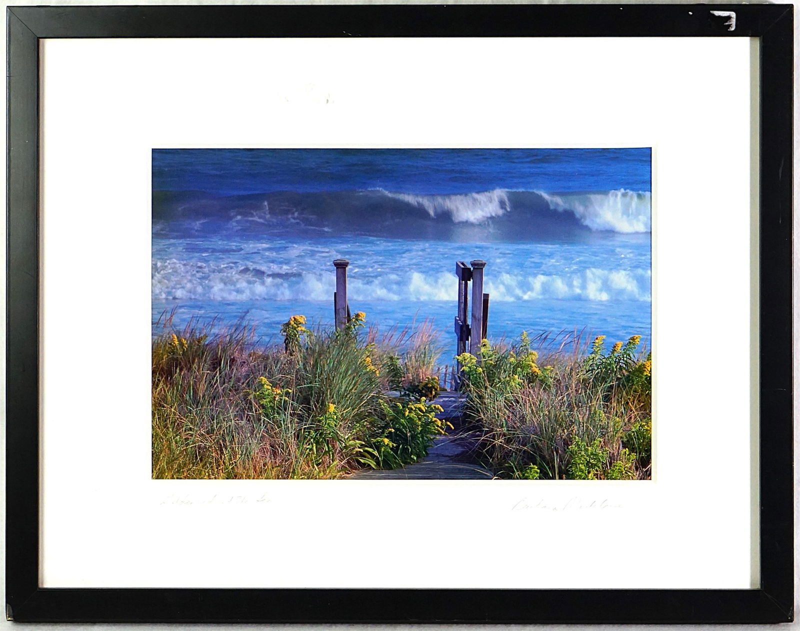 Barbara Macklowe Signed Photograph: Approximate size:frame16x21 in/image 9x14 in Shipping: We offer in-house shipping services for most small items. This means that we will take care of packing and shipping the items directly to you. Fo