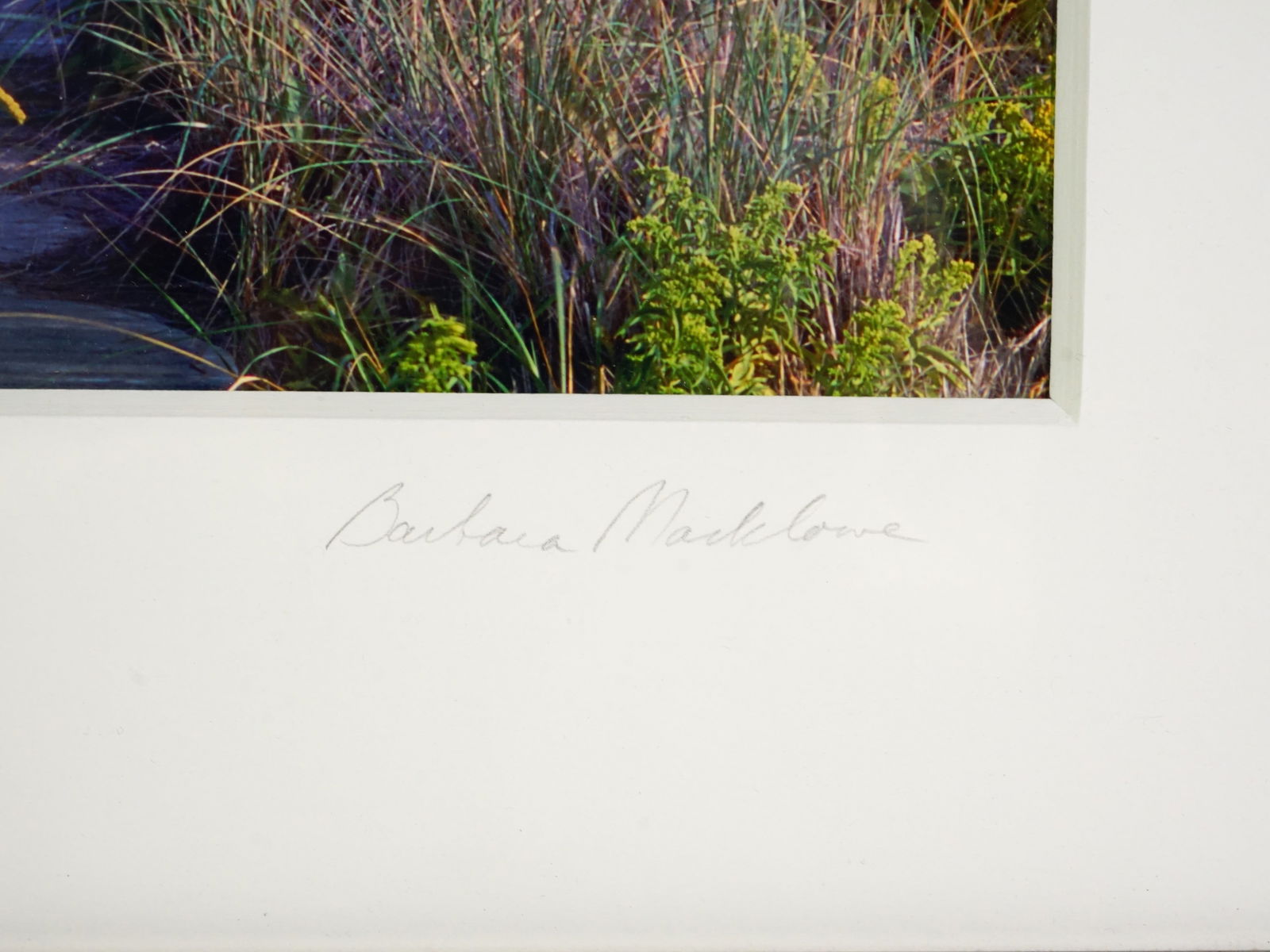 Barbara Macklowe Signed Photograph - 3