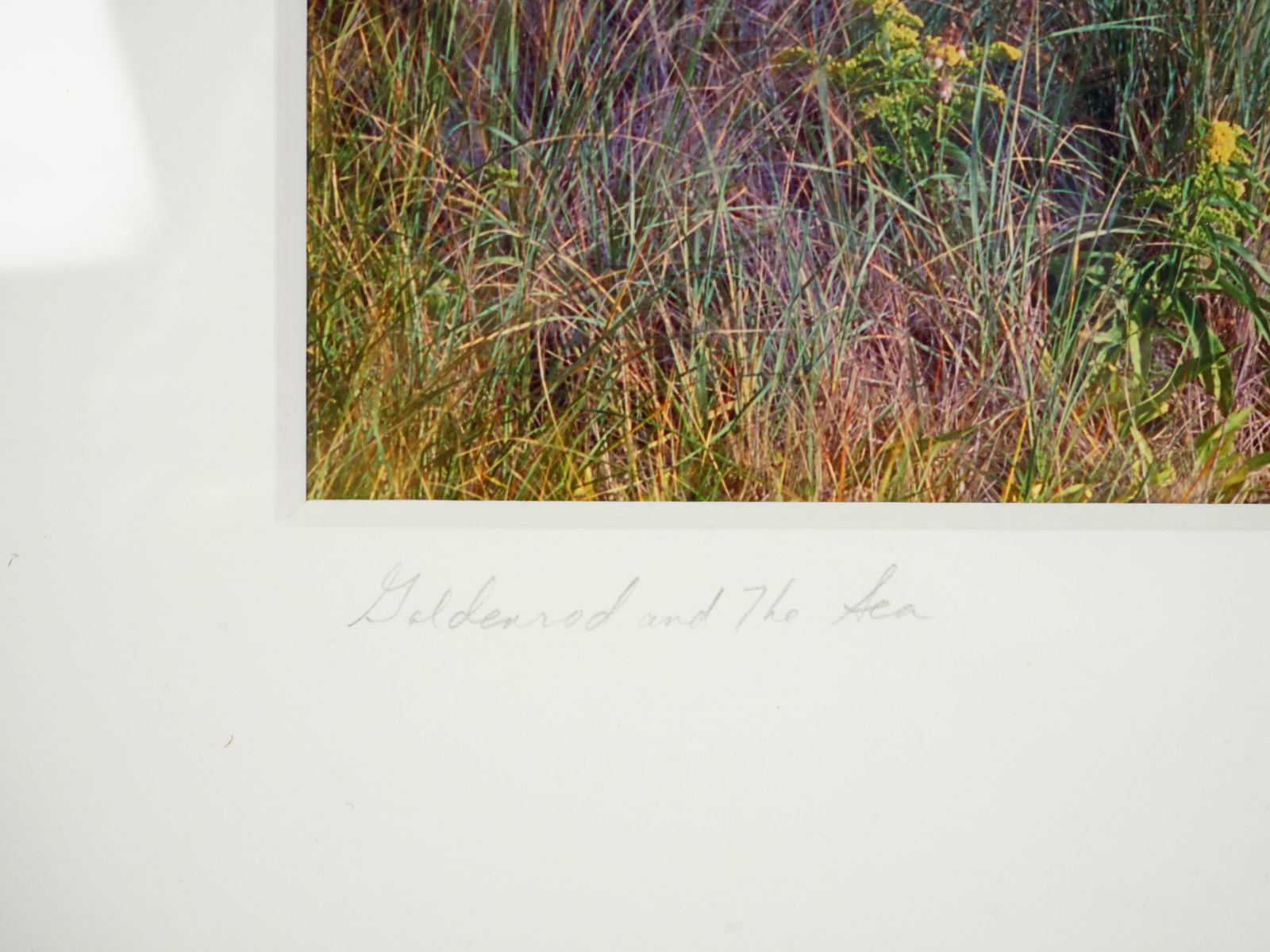 Barbara Macklowe Signed Photograph - 4