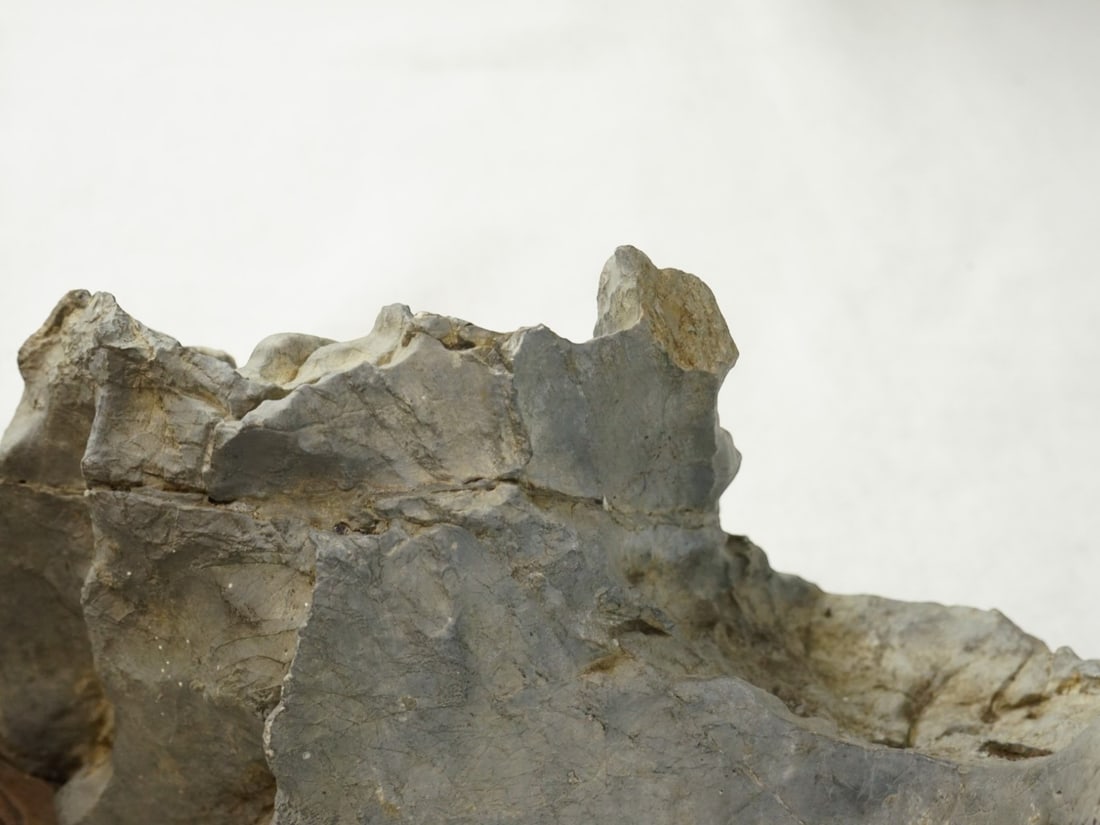 Chinese Scholar Rock - 5