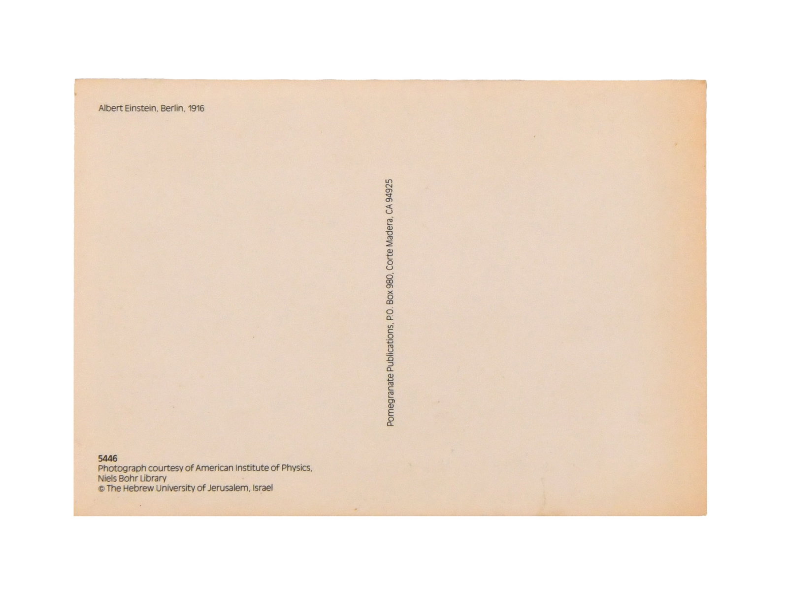 Albert Einstein-Signed Photographic Postcard - 2