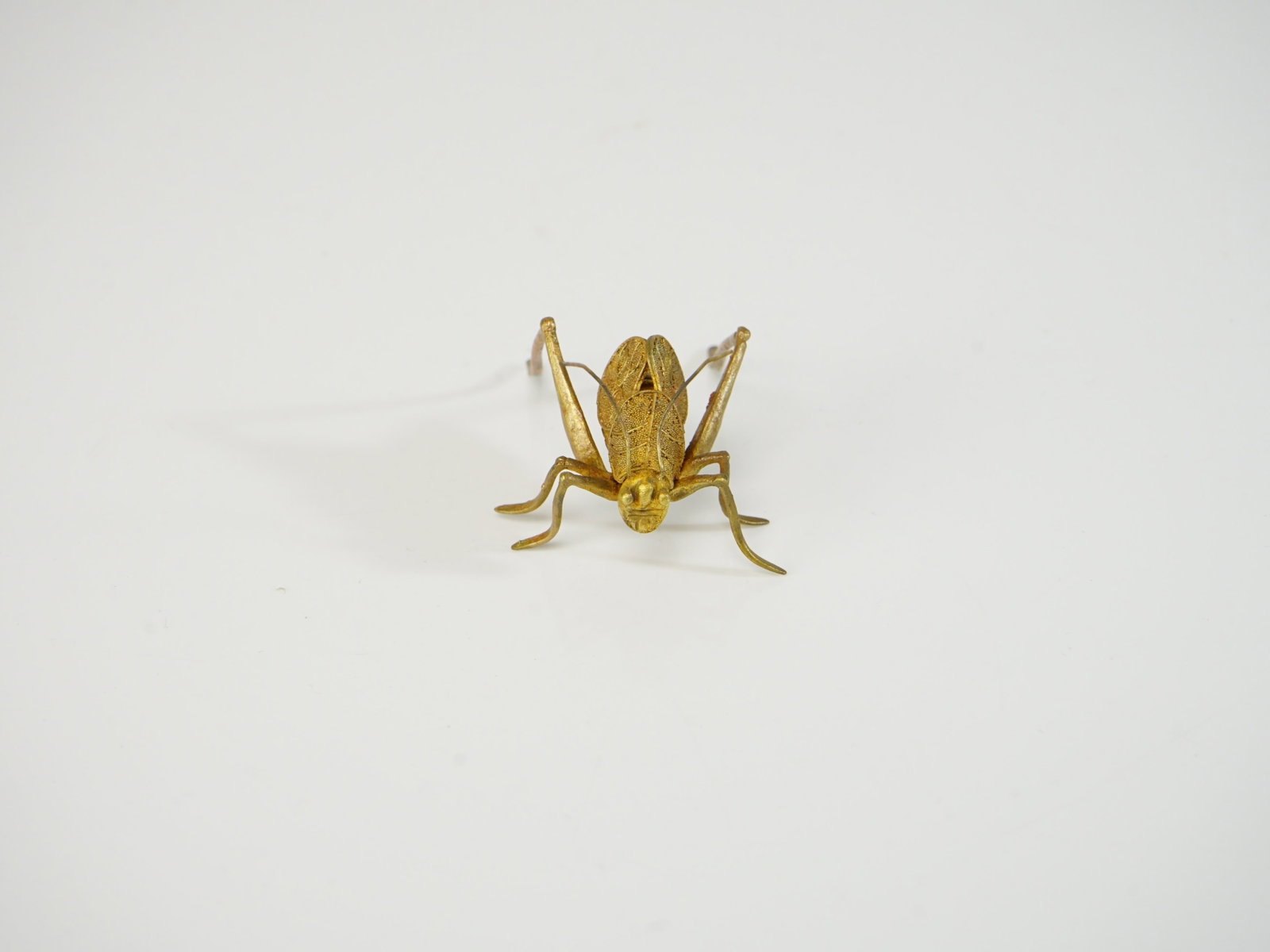 A Metal Cricket - 2