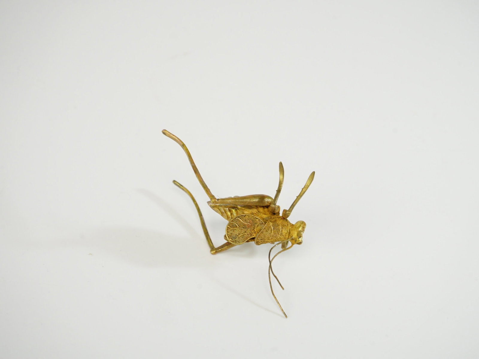 A Metal Cricket - 5