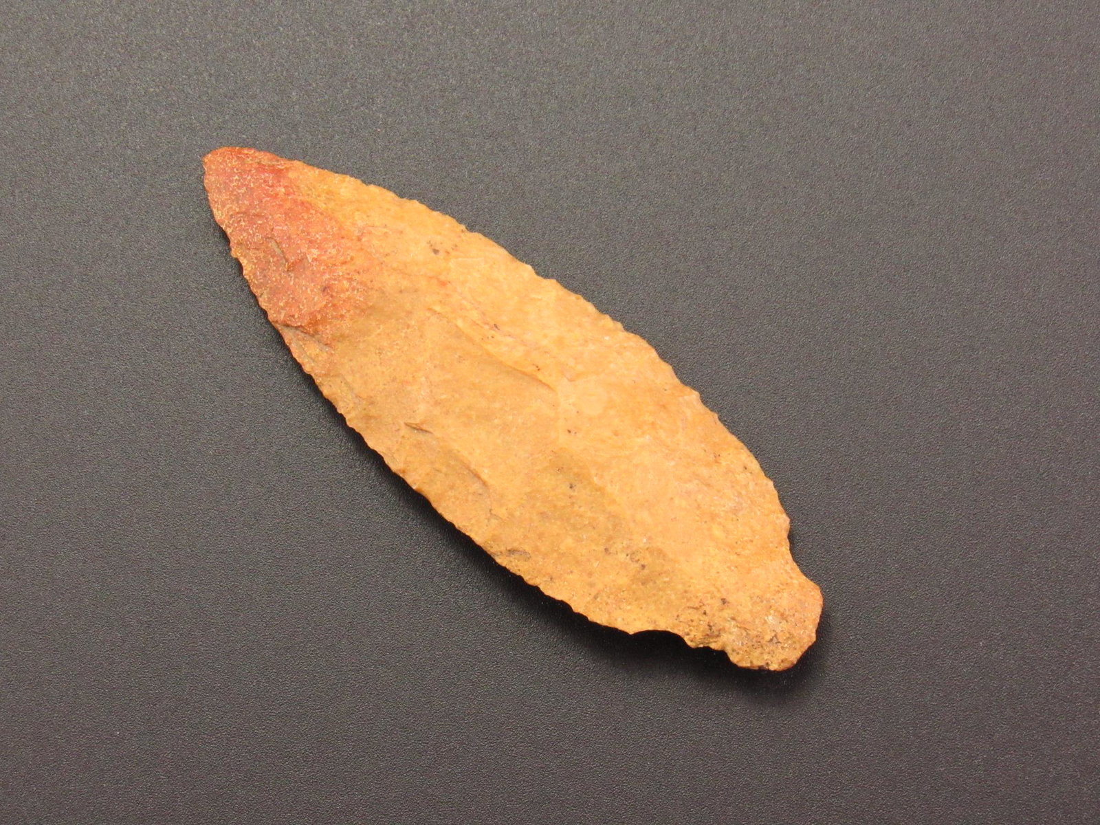 Beautiful Prehistoric Adena-Vanishing Stem Indian Arrowhead From Kentucky - IAGA COA (1 of 3)