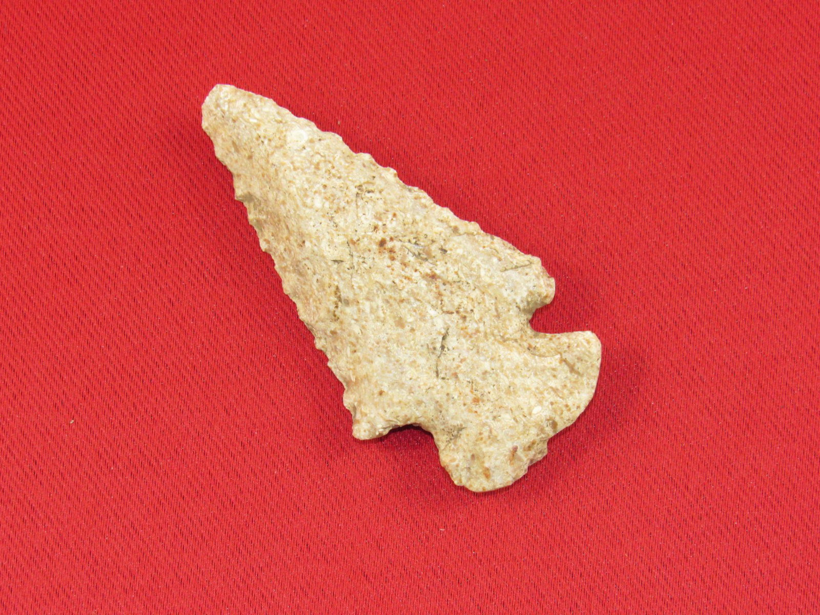 Prehistoric Dovetail Indian Arrowhead From Jefferson Co., Kentucky - IAGA COA (1 of 5)