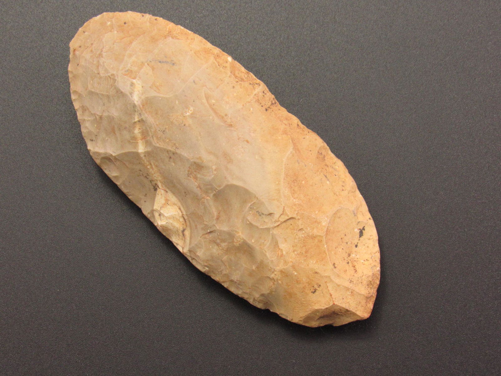 Nice Prehistoric Indian Flint Celt From Jefferson Co., Kentucky - IAGA COA (1 of 6)
