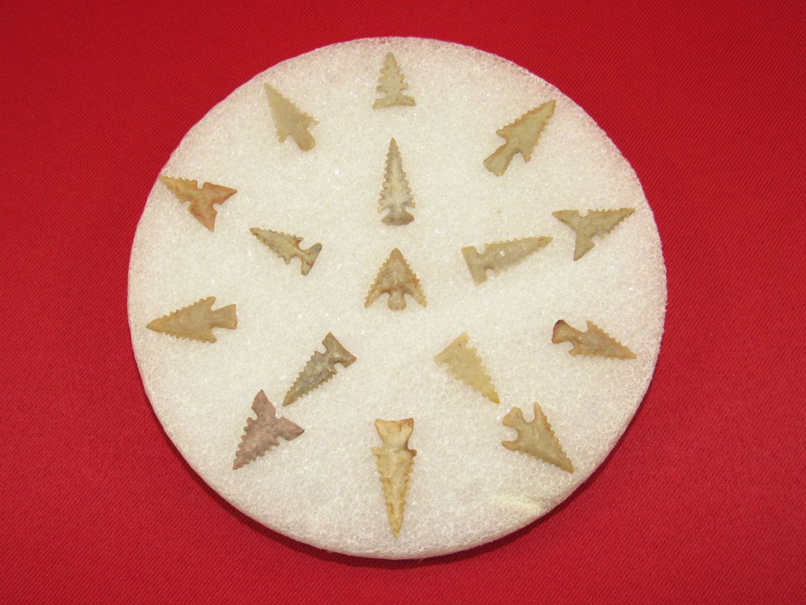 Sixteen Very Fine Bird Point Native American Indian Arrowheads (1 of 4)